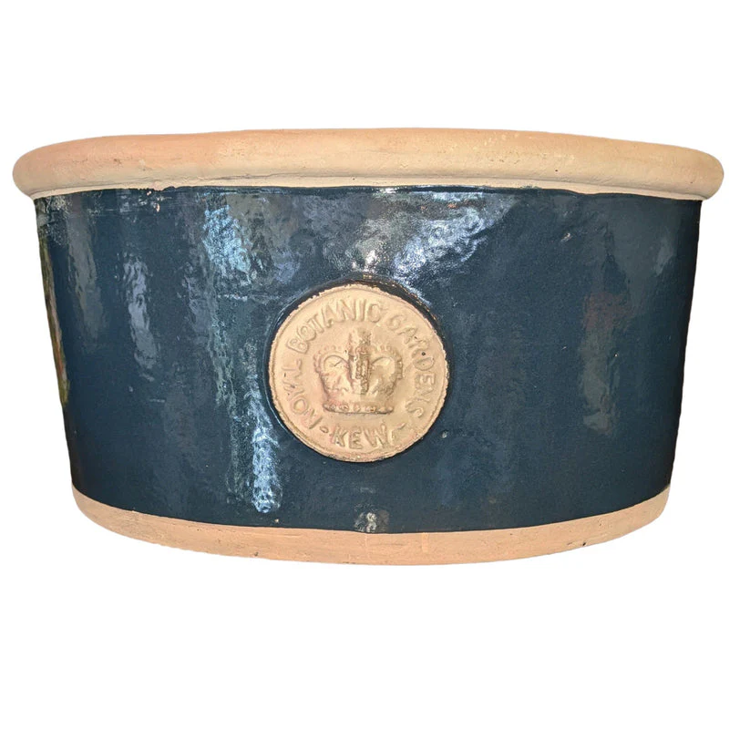 Botanical Collections Kent Stiffkey Blue Medium Oval Planter