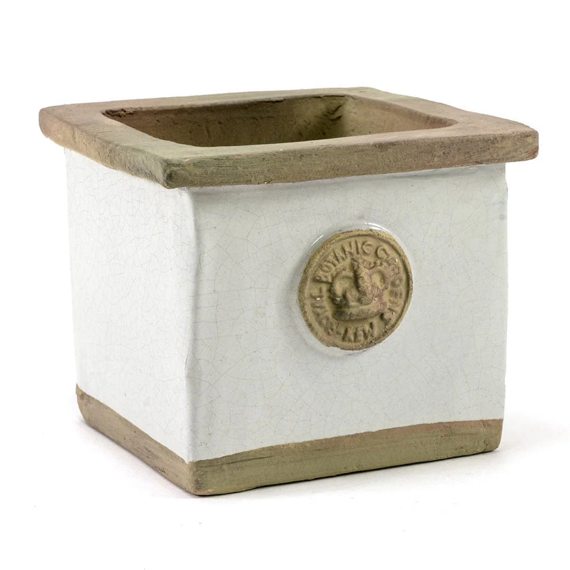 Botanical Collections Cornwall Old White Square Herb Pot