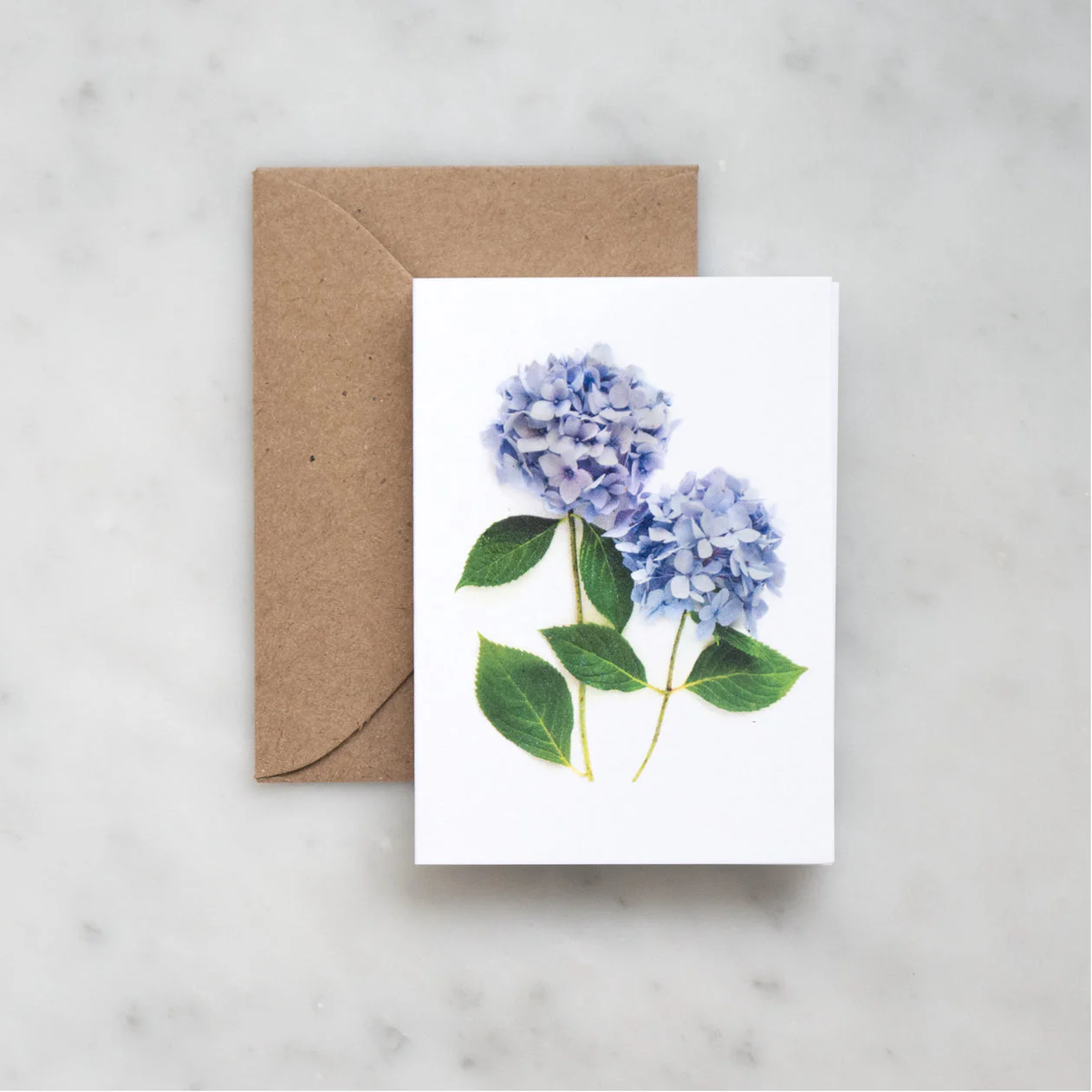 Bottle Branch Hydrangea Mini Folded Enclosure Card