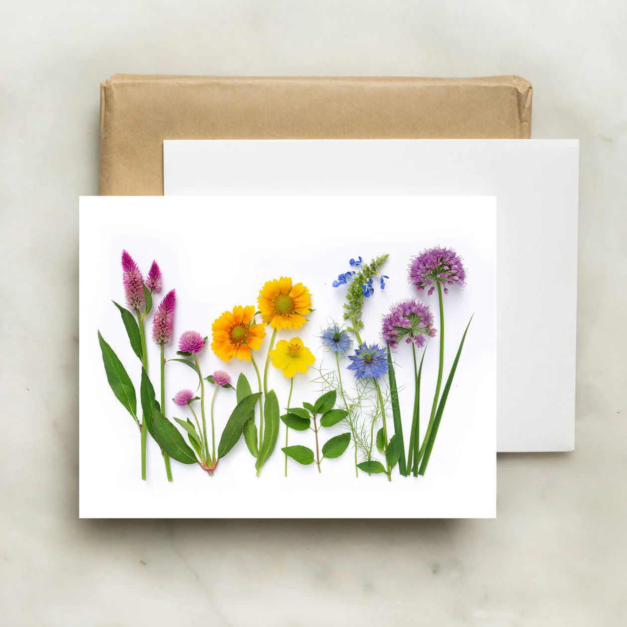 Bottle Branch Rainbow with Allium Card