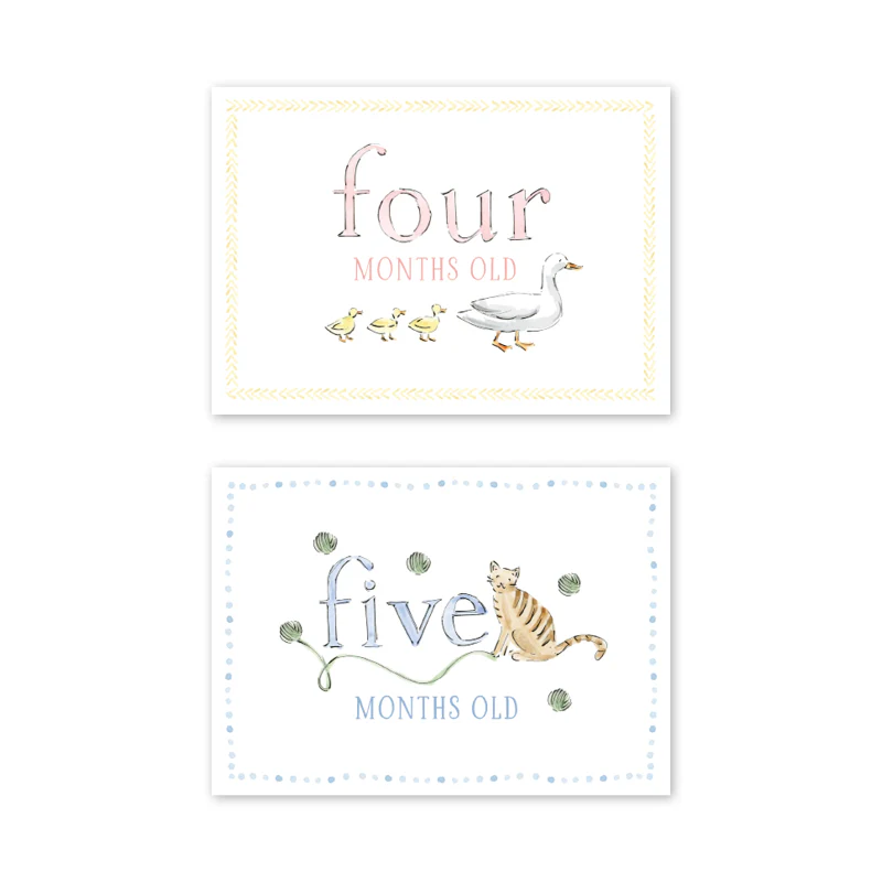 Dogwood Hill Zoo in the City Milestone Cards, Set of 15 - Image 4