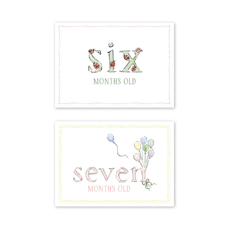 Dogwood Hill Zoo in the City Milestone Cards, Set of 15 - Image 5