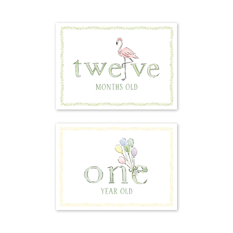 Dogwood Hill Zoo in the City Milestone Cards, Set of 15 - Image 8